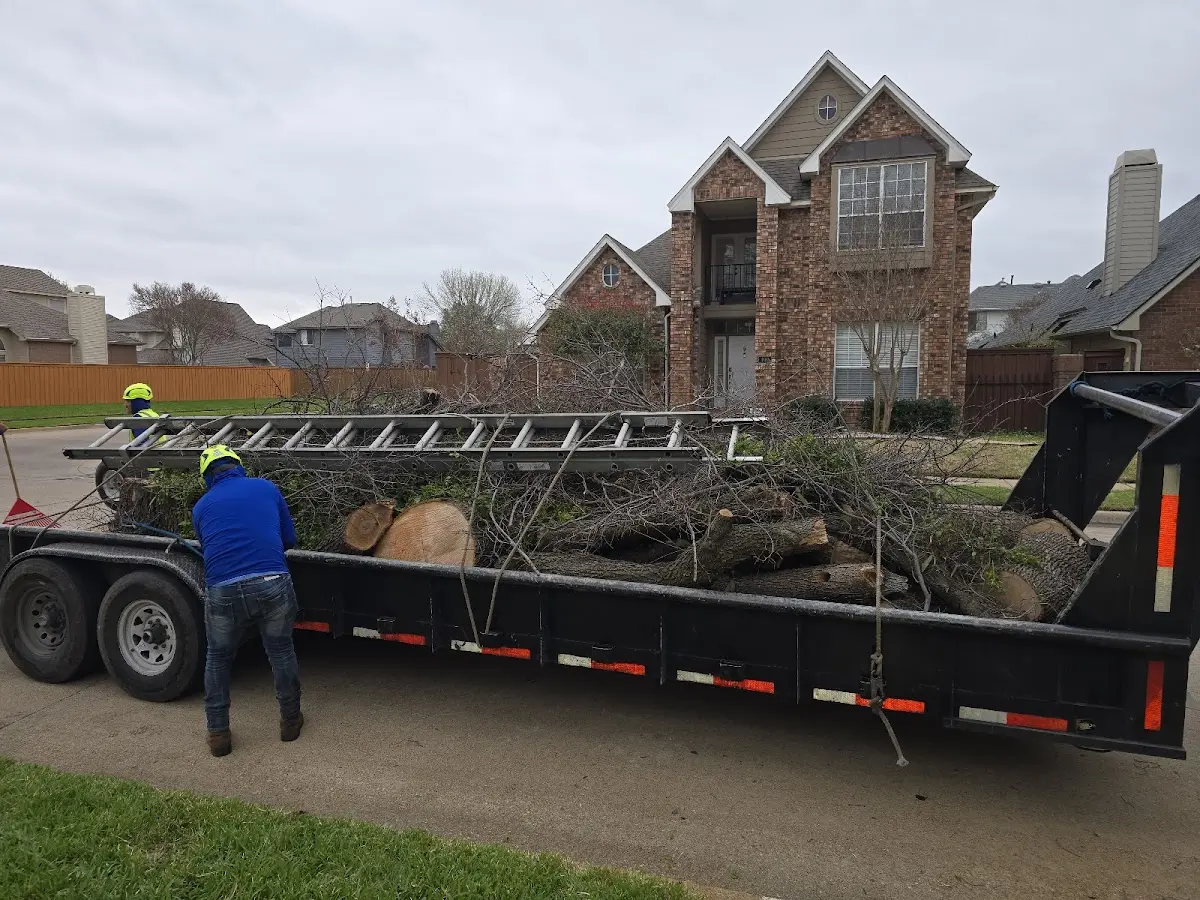 Expert Tree Removal with proper safety equipment in Litchfield